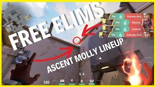 I used THIS Phoenix ascent molly lineup for cheeky frags