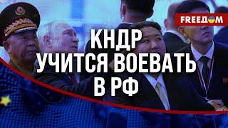 ️️ "Сотрудничество" диктаторов КНДР и РФ на "СВО". УГРОЗА мировой БЕЗОПАСНОСТИ