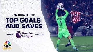 Top Premier League goals and saves from Matchweek 12 (2022-23) | NBC Sports