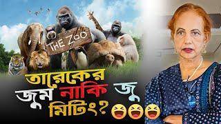 তারেকের জুম মিটিং আমার হাসিক খোরাক।