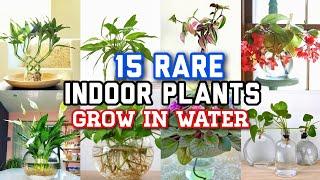 15 RARE Indoor Plants You Can Grow in Water | Best Indoor Plants That Grow in Water That Garden Girl