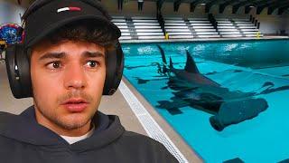 Facing my fear of the ocean...