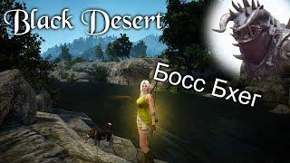 Black Desert Online ( BDO) - Фарм Босса Бхег