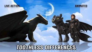 HTTYD Toothless Differences In Live Action & Animation