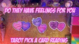 Do They Have Feelings For You? Tarot Pick a Card Love Reading