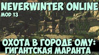 Охота в Городе Ому: Гигантская Маранта | Neverwinter Online | Mod 13