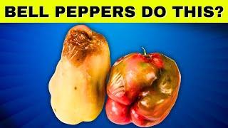 Are Bell Peppers GOOD For You? Science SAYS This!