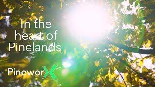 PineworX  | Welcome to the heart of Pinelands