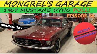 1967 Mustang Dyno Pull & Build Announcement - Mongrels Garage EP 50