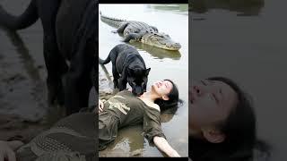 #pets #farmanimalct #keywordresearch #funny #seoguide #rottweiler #seotutorial #farming #animals