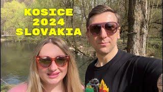 Košice 2024. Кошице, Словаччина. Що робити і чи варто туди їхати? Зоопарк  Кошице️