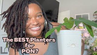 NO MORE ROOT ROT! | Repotting my Monstera Albo in Naked Root Planters