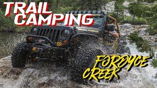 Off Road Adventure in Fordyce Creek