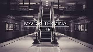 macOS Terminal - curl