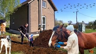 ЖИЗНЬ В СЕЛЕ  ПЕРЕРЫЛИ ВЕСЬ ДВОР. Какая будет терраса? Продали трактор. Что с яблоневым садом?