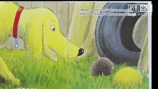 Oxford Reading Tree 1 11 Hedgehog