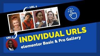 Elementor Gallery: How To Add Custom Urls To Individual Images - Basic And Pro