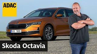 Facelift des Bestsellers: Skoda Octavia Combi (2024) im Fahrbericht | ADAC