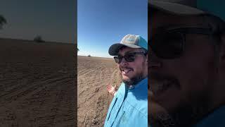 Can’t stop, won’t stop. Cover crops for life. @GreenCoverSeed #covercrop #regenerativeagriculture
