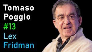 Tomaso Poggio: Brains, Minds, and Machines | Lex Fridman Podcast #13