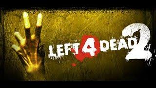 Left 4 Dead 2 LAUNCHER ERROR