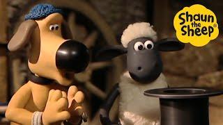 Shaun the Sheep  It's Magic….sheep - Cartoons for Kids  Full Episodes Compilation [1 hour]