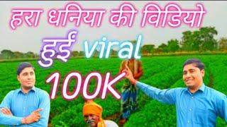 हरा धनिया की विडियो हुई viral ll 100K ll हरा धनिया की फसल ll #farming #100k #youtube #upfarmers