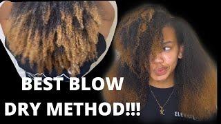 HOW TO: Blow Dry Type 4 Hair| My Minimal Damage Blow Dry Routine (Tension Method)