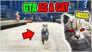 KILLER CAT Takes Over Entire City on GTA 5 RP!!