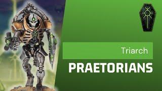 9 Important Questions Before Using Triarch Praetorians!