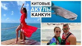 ПЛАВАНИЕ С КИТОВЫМИ АКУЛАМИ | ТРИ ДНЯ ПОСЛЕ ТУРНИРА В КАНКУНЕ