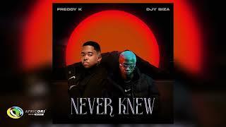 Freddy K and Djy Biza - Never Knew (Official Audio)