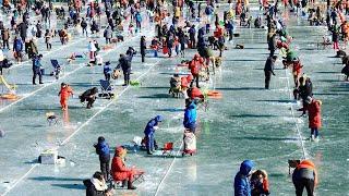 Amazing Giant Fish Fishing Skills in the ice river - Amazing Fastest Fish Catching Net Under Ice