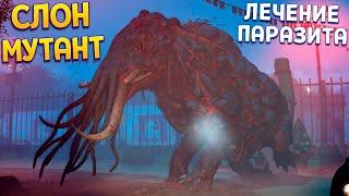 ЛЕЧЕНИЕ СЛОНА С ПАРАЗИТОМ ( Zoochosis )