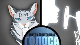 ГОЛОСА КОТОВ ВОИТЕЛЕЙ | ЧАСТЬ 2 (ОПИСАНИЕ)