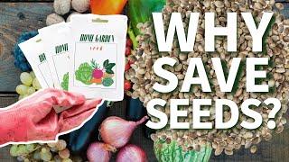 Why Save Seeds?