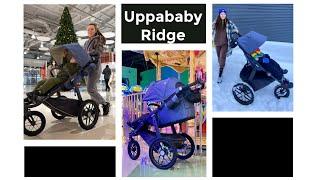 Обзор Uppababy Ridge / Аппабэби Ридж всесезонная коляска