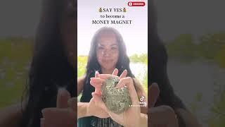 BECOME A MONEY MAGNET WITH REIKI ENERGY #meditation  #spirituality #crystals