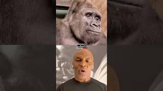 Mike Tyson Tried To Fight A Silverback Gorilla!