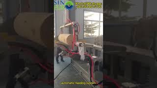 Automatic veneer peeling line from Plywood machine