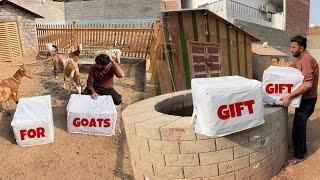 Gifts Unboxing Kr Dye Goats Bht Ziada Khush Hogaen