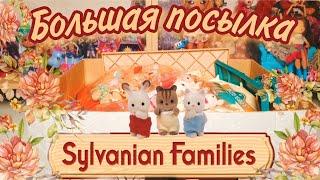 ОГРОМНАЯ посылка с SYLVANIAN FAMILIES  unboxing second hand