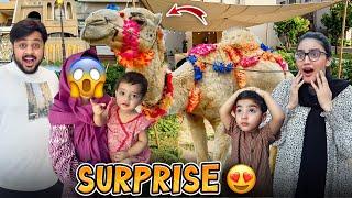 WHITE CAMEL PY IQRA & BHABHI KA REACTION  | Camel K Ghar Ka Intezam Hogya |Bachon Ka Rush Lag Gya