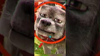 THIS IS THE MINECRAFT DOG IN BEHIND SCENES
