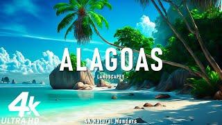 4K Alagoas - Discovering the Pristine Beaches, Crystal Clear Lagoons of Brazil’s Hidden Gem