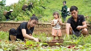 Family Life On A Mountain Farm: Building, Animal Care, Growing - Harvesting and Selling, Cooking