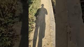 walking shadow #vlog #blogs #subscribe #youtube #blogsgrinder #walking #shadow #yt #village #ytshort