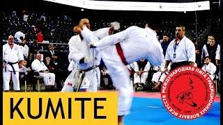 Igor Mirutenko. Kumite. World Championship Fudokan Karate 2017