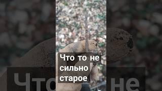 Похоже на инструмент. Коп в лесу. Treasure hunting with a metal detector #shorts