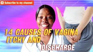 14 CAUSES OF VAGINA ITCHING AND DISCHARGE.